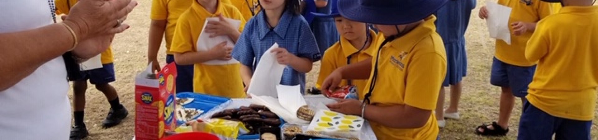 Teddy Bears Picnic